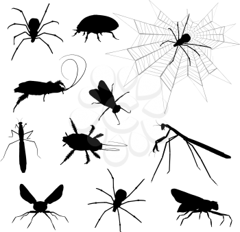 Silhouettes of lots of various insects