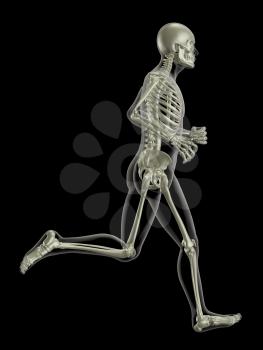 3D render of a medical skeleton in a running pose
