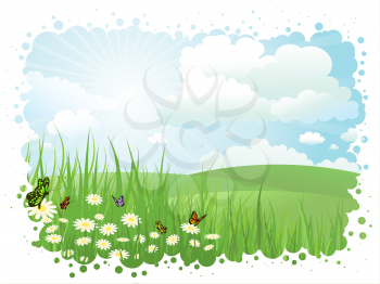 Summer landscape with butterflies and daisies in grass