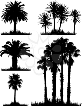 A collection of silhouettes of tropical trees
