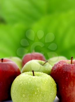 Red and green apples with water drops on green background          