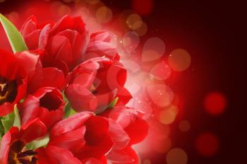 Red tulips on a starry bokeh light background
