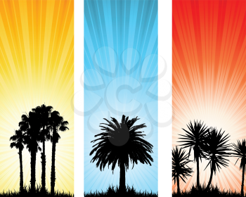 Three summer backgrounds with silhouettes of palm trees