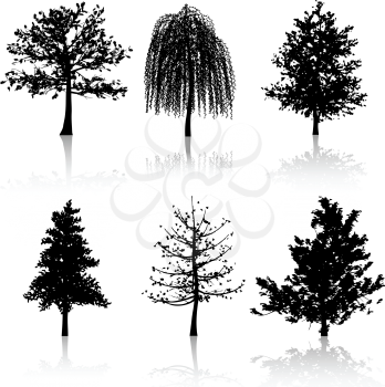 Collection of six different tree silhouettes with reflections