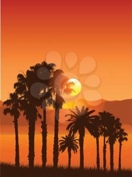 Silhouettes of palm trees against a sunset landscape