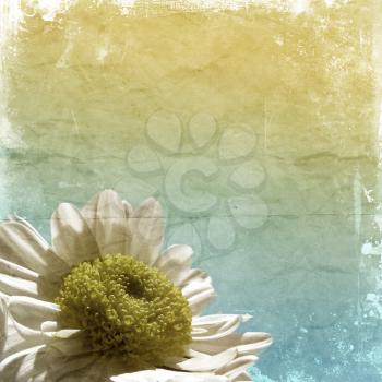 Royalty Free Photo of a Grunge Background With a Daisy