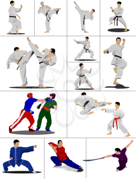 Oriental combat sports. The sportsman in a position. Wushu. KungFu. Karate.