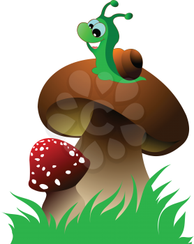 Funny green snail and two mushrooms on green grass. Vector illustration