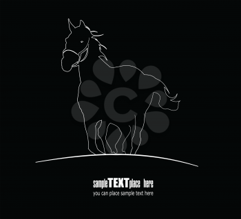 White horse silhouette on black background. Vector illustration