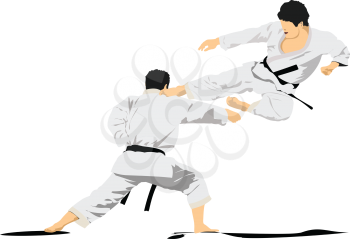 Oriental combat sports. Karate. Colored 3d vector illustration