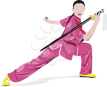 Oriental combat sports. WuShu. Colored 3d vector illustration.