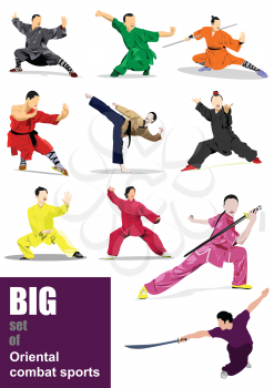 Set of Oriental combat sports. Colored 3d vector illustration
