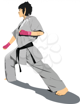 Oriental combat sports. Wu Shu. Colored 3d vector illustration. 