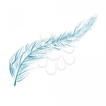 Royalty Free Clipart Image of a Blue Feather 