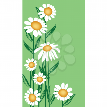 Royalty Free Clipart Image of Daisies on a Green Border