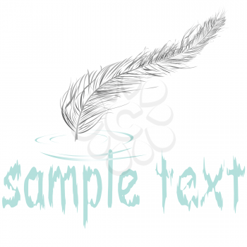 Royalty Free Clipart Image of a Feather in the Water