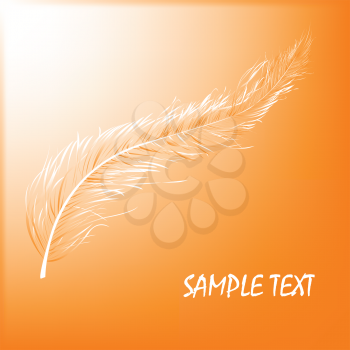 Royalty Free Clipart Image of a Floating Feather on Orange With Space for Sample Text