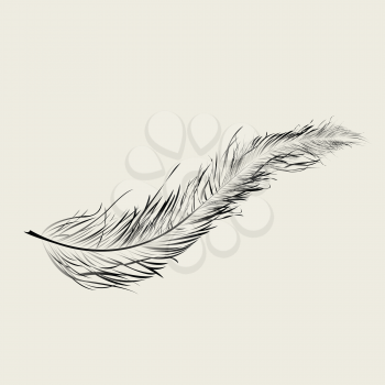 Royalty Free Clipart Image of a Floating Feather