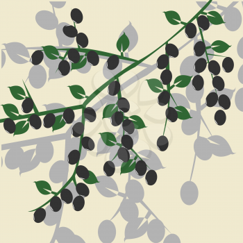 Royalty Free Clipart Image of an Olive Branch