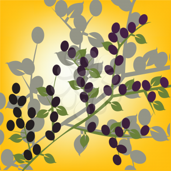 Royalty Free Clipart Image of Olives