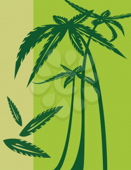 Royalty Free Clipart Image of Palm Trees