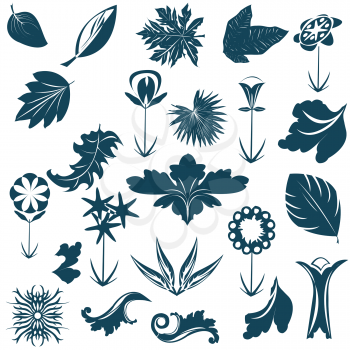 Royalty Free Clipart Image of a Collection of Leaves and Oranments