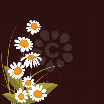 Royalty Free Clipart Image of a Daisies Against a Brown Background