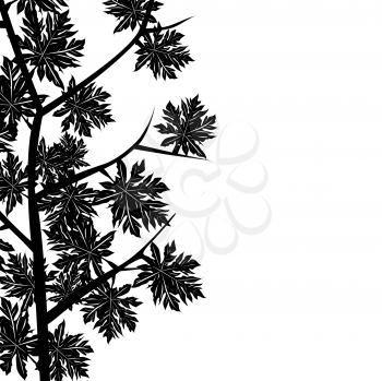 Foliage with maple leaves over white background