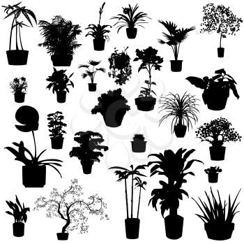 Potted plants silhouettes