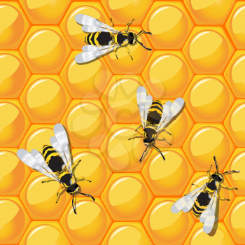 Bees and honeycomb, seamless background design. Ready for print design, no meshes or transparencies used.
