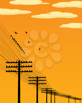 Background illustration wirth birds and telegraph poles silhouettes.