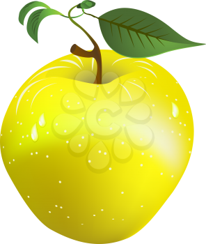 Image shows a fresh, juicy golden apple over white background. Gradient mesh object.