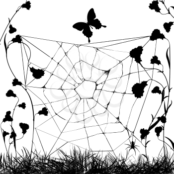 web spider in black and white, grunge background