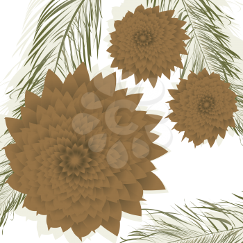 Pine cones background, isolated objects over white background
