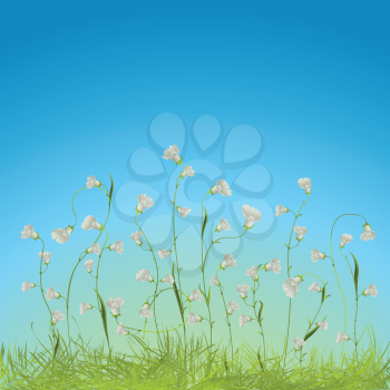 Graphic composition with beautiful white flowers and grass