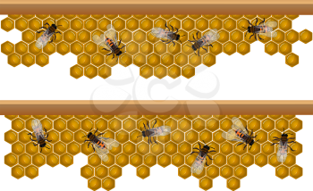 Design elements for a seamless border, pattern with working bees on a honeycomb.