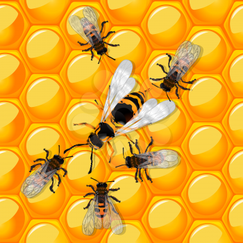Working bees defending a honeycomb from a wasp. Trasparency effect.