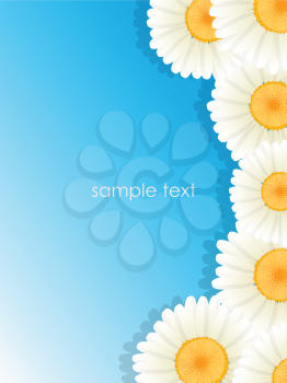 Greeting card with room for text and Daisy floral frame