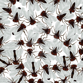 Seamless pattern with house fly. 
