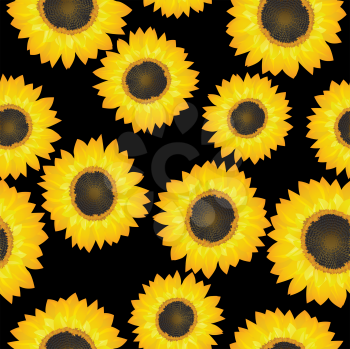 Seamless background pattern with sunflowers over black
