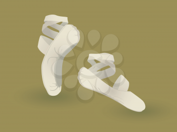 A pair of dancing ballet shoes