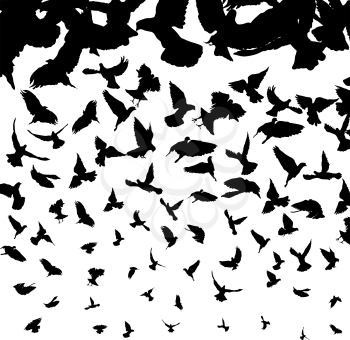 Background illustration with flying bird silhouettes