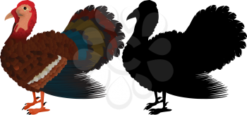 Traditional turkey icon and silhouette for Thanksgiving Day design. Isolated objects on white background.