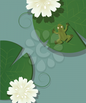 Illustration of a little frog over a lotus leave in the pod