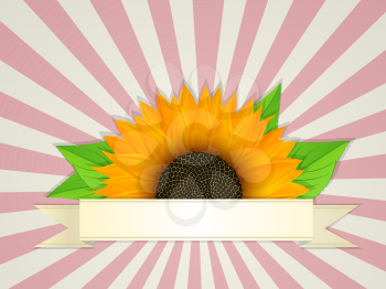 Summer bannerdesign with graphic sunflower 