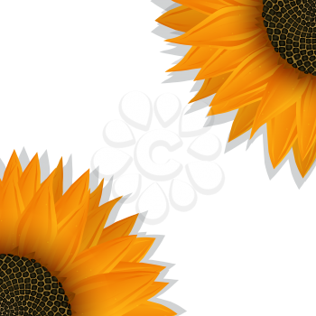 Sunflower banner