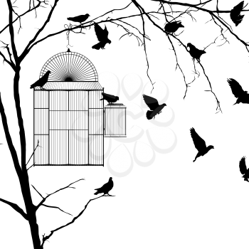 Bird cage silhouette over white background