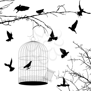 Birds and cage silhouettes over white background