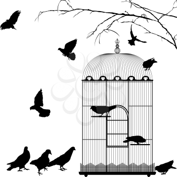 Birdcage and birds silhouettes over white background