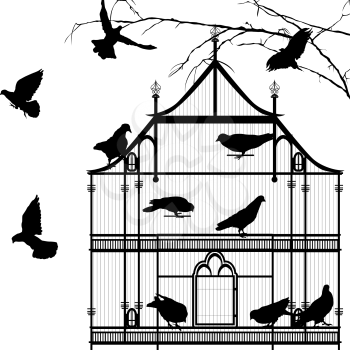 Birds and birdcage graphic silhouettes over white background